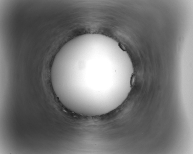 X0000088390865200706051116