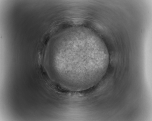 X0000088390866200706051116