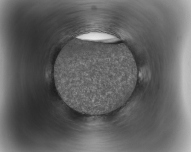 X0000088390867200706051116