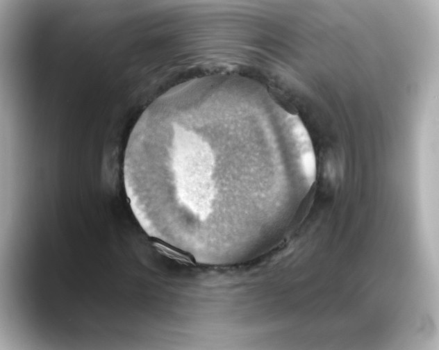 X0000088390868200706051116