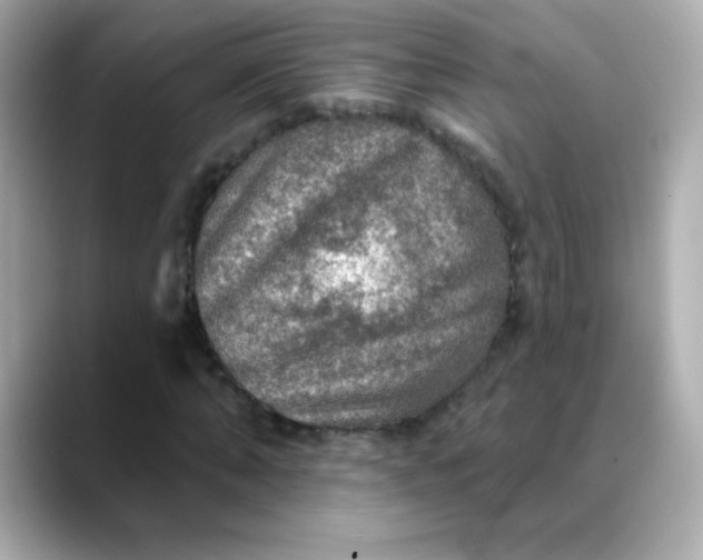 X0000088390870200706051116