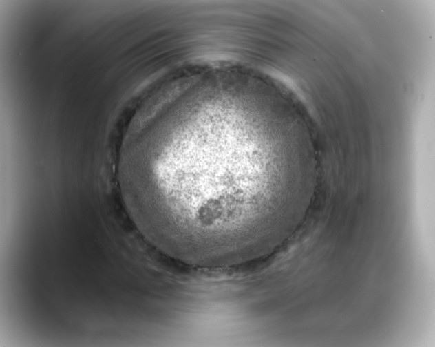 X0000088390871200706051116