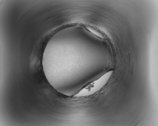 X0000088390872200706051116