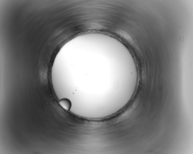 X0000088390873200706051116