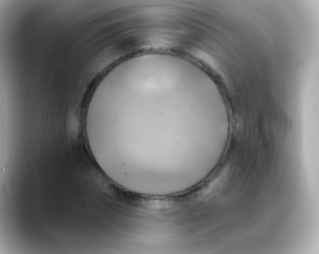 X0000088390874200706051116