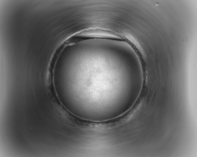 X0000088390876200706051115