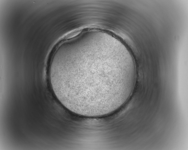 X0000088390880200706051115