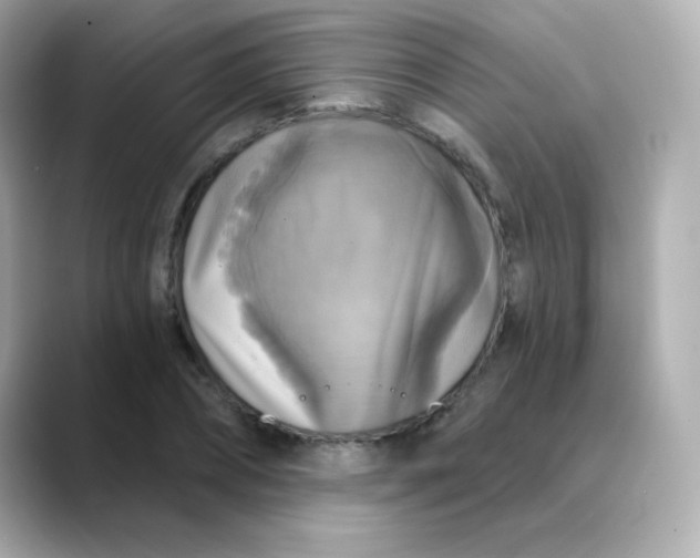 X0000088390882200706051115