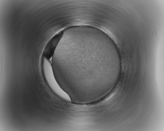 X0000088390885200706051115