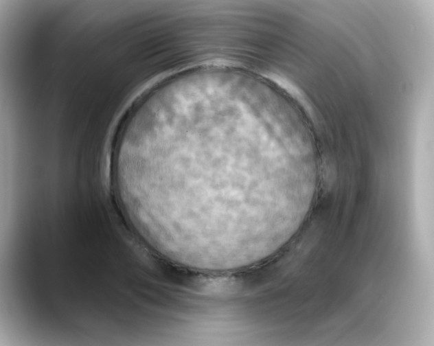 X0000088390886200706051115