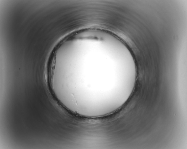 X0000088390888200706051115