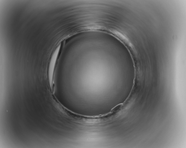 X0000088390889200706051115