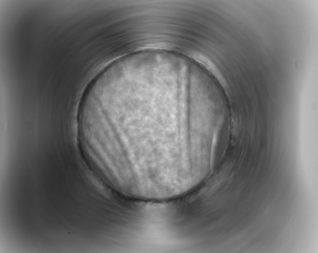 X0000088390890200706051115