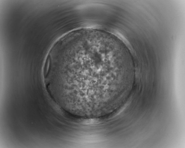 X0000088390891200706051115