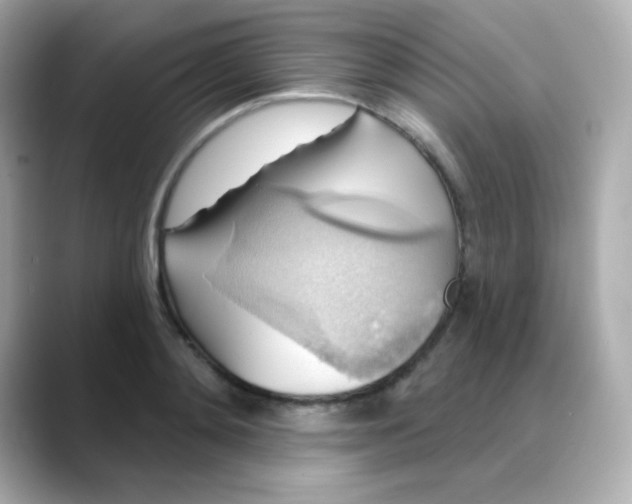 X0000088390892200706051115