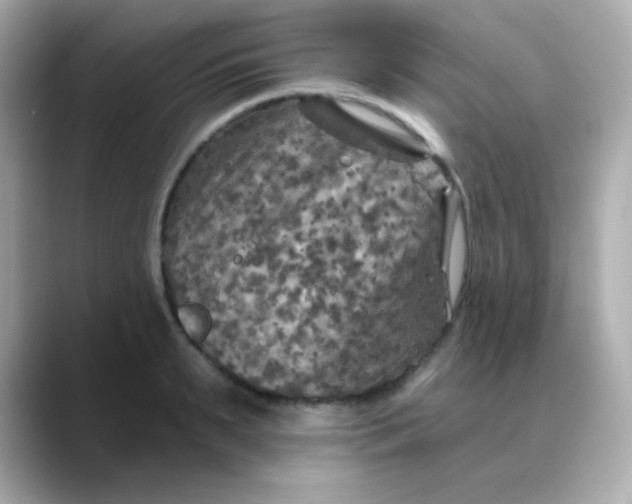 X0000088390895200706051115