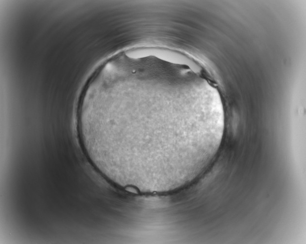 X0000088390896200706051115