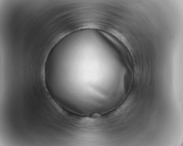 X0000088390898200706051115