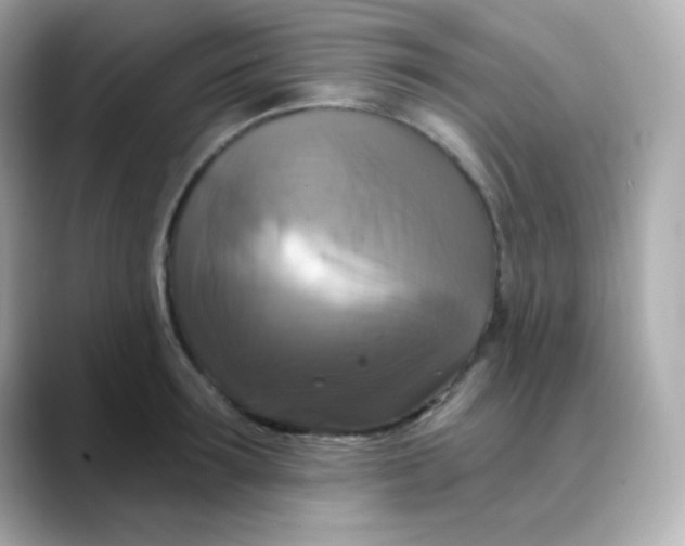 X0000088390899200706051115