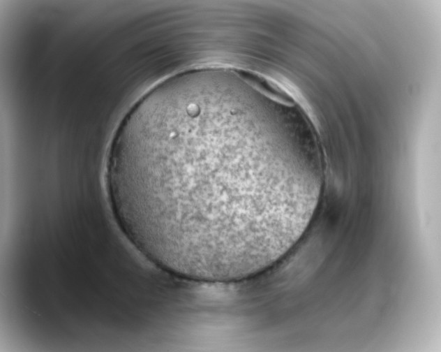 X0000088390901200706051115