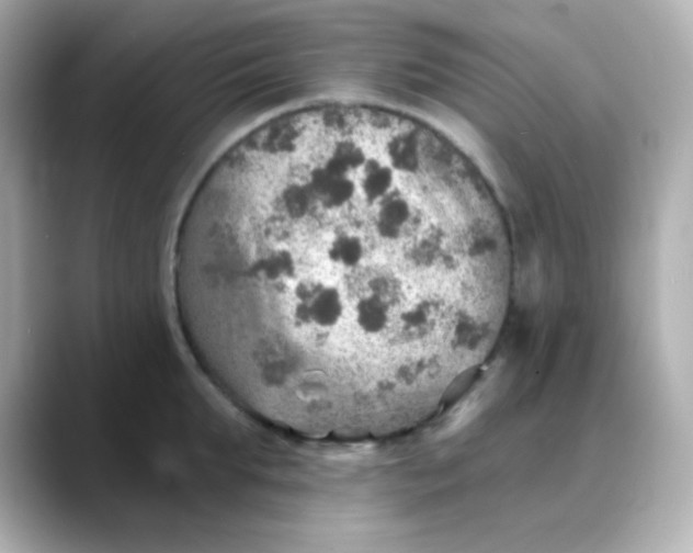 X0000088390903200706051115