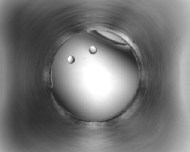 X0000088390905200706051115