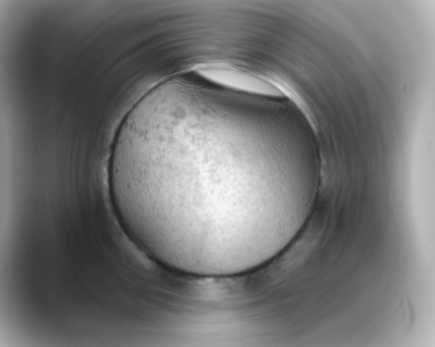 X0000088390906200706051115