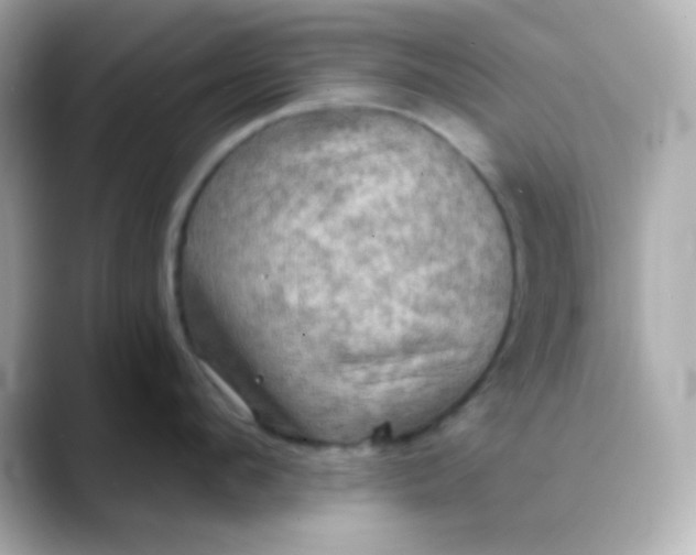 X0000088390912200706051115