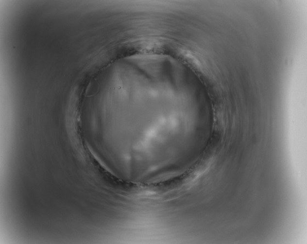 X0000088390913200706051115