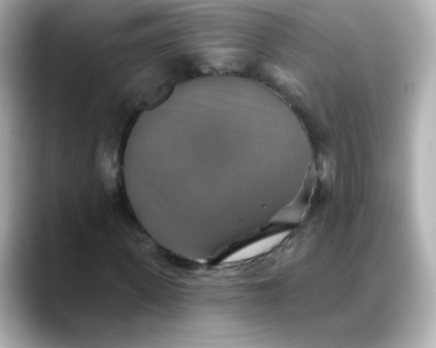 X0000088390915200706051115