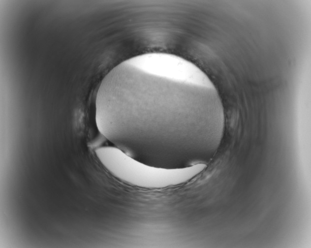 X0000088390916200706051115