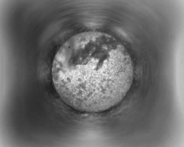 X0000088390917200706051115