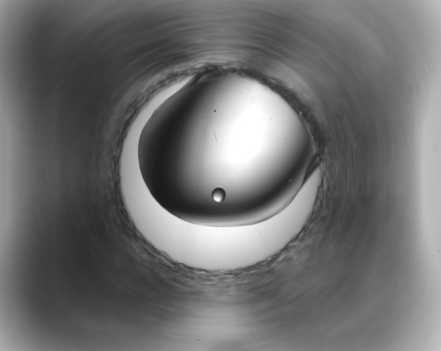 X0000088390920200706051115