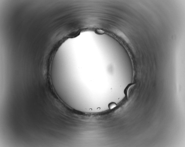 X0000088390922200706051115