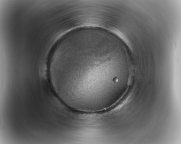 X0000088390926200706051115