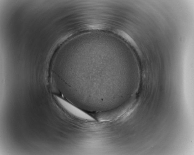 X0000088390930200706051115