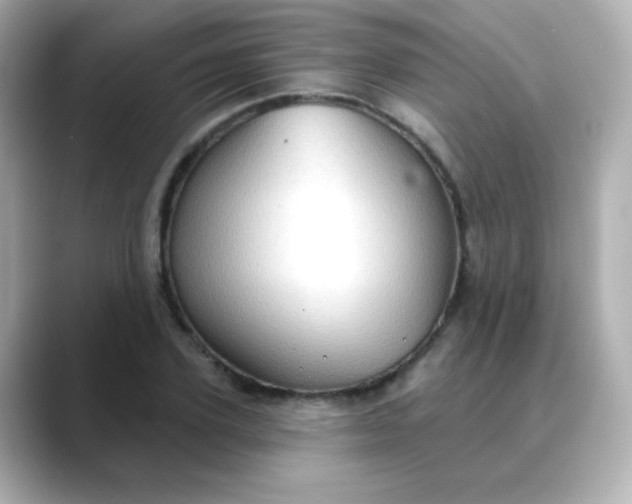 X0000088390931200706051115