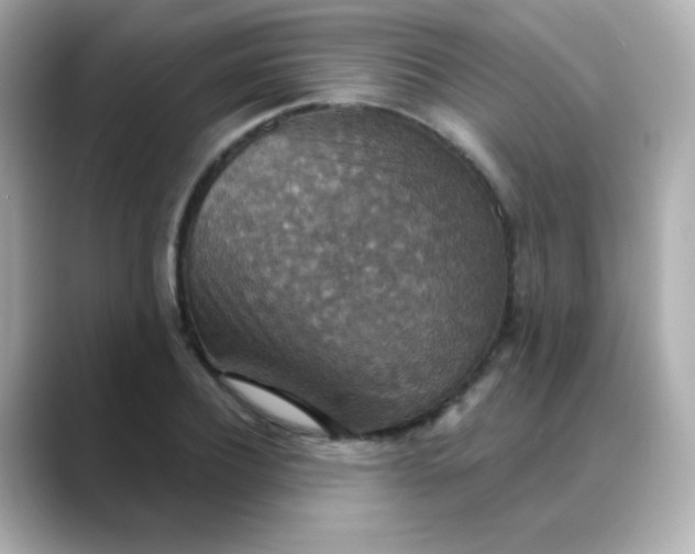 X0000088390932200706051115