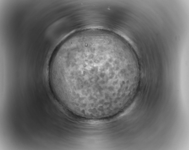 X0000088390933200706051115