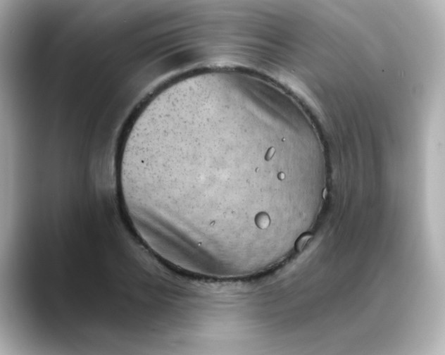 X0000088390934200706051115