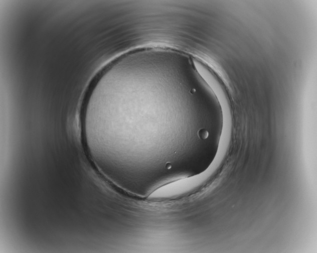 X0000088390936200706051115