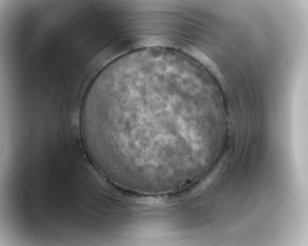 X0000088390937200706051115