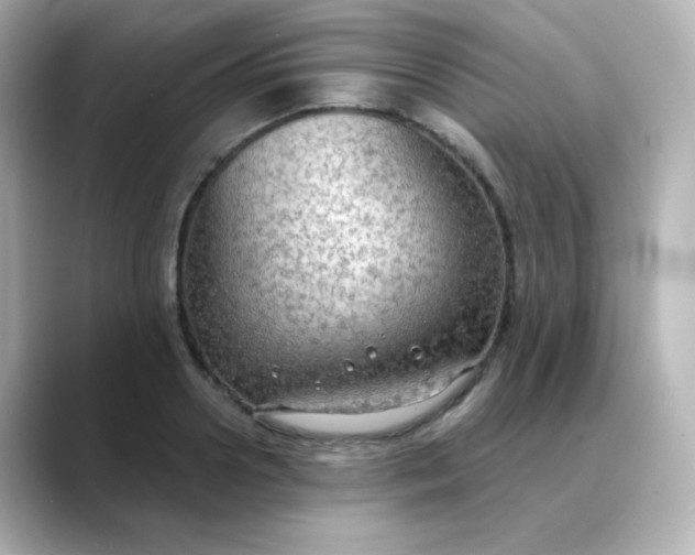 X0000088390938200706051115