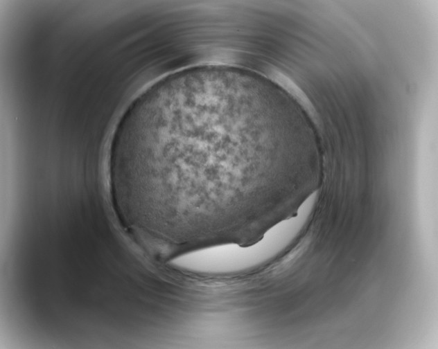 X0000088390939200706051115