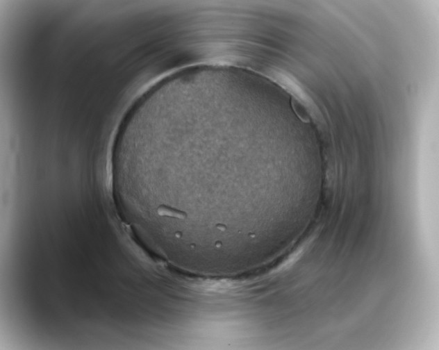 X0000088390940200706051115