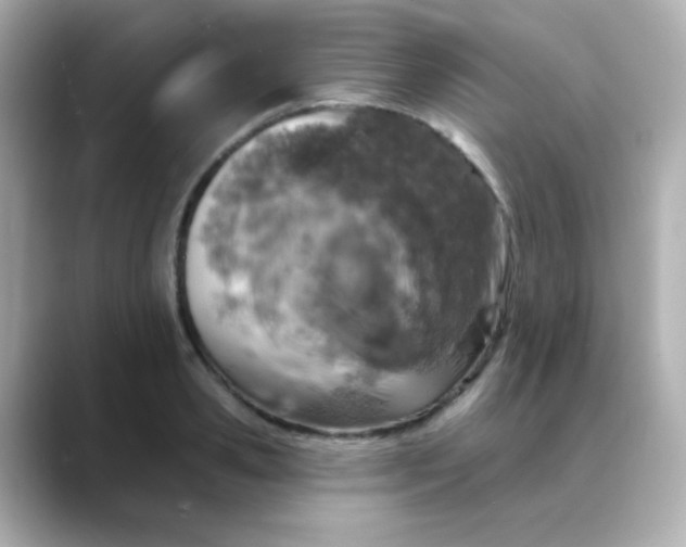 X0000088390941200706051115