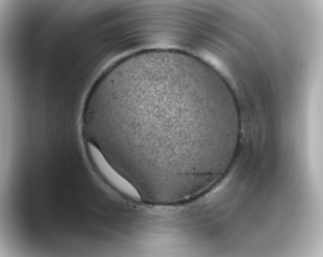 X0000088390942200706051115