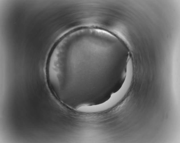 X0000088390943200706051115