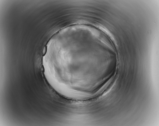 X0000088390945200706051115