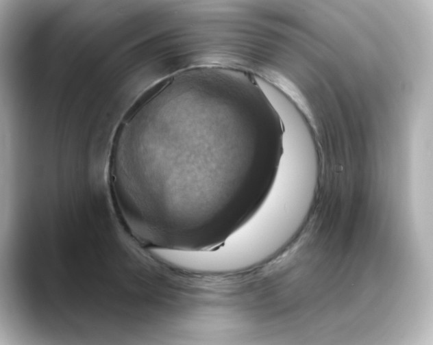 X0000088390946200706051115